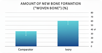 bone-formation